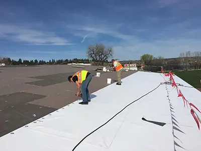 Single-Ply Systems2