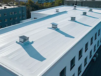 Single-Ply Systems6