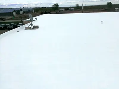 Spray Foam4